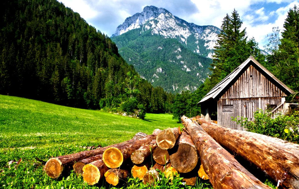 Lumber On Field At Mountain Cabin