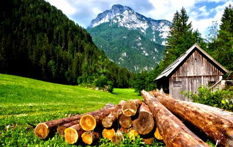 Lumber On Field At Mountain Cabin