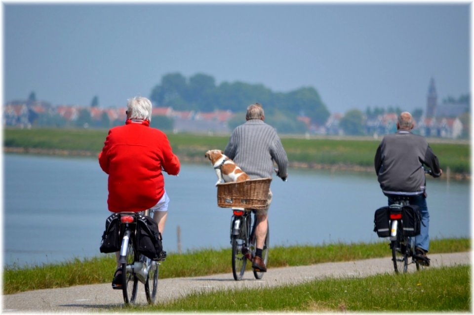 People Cycling By Lake