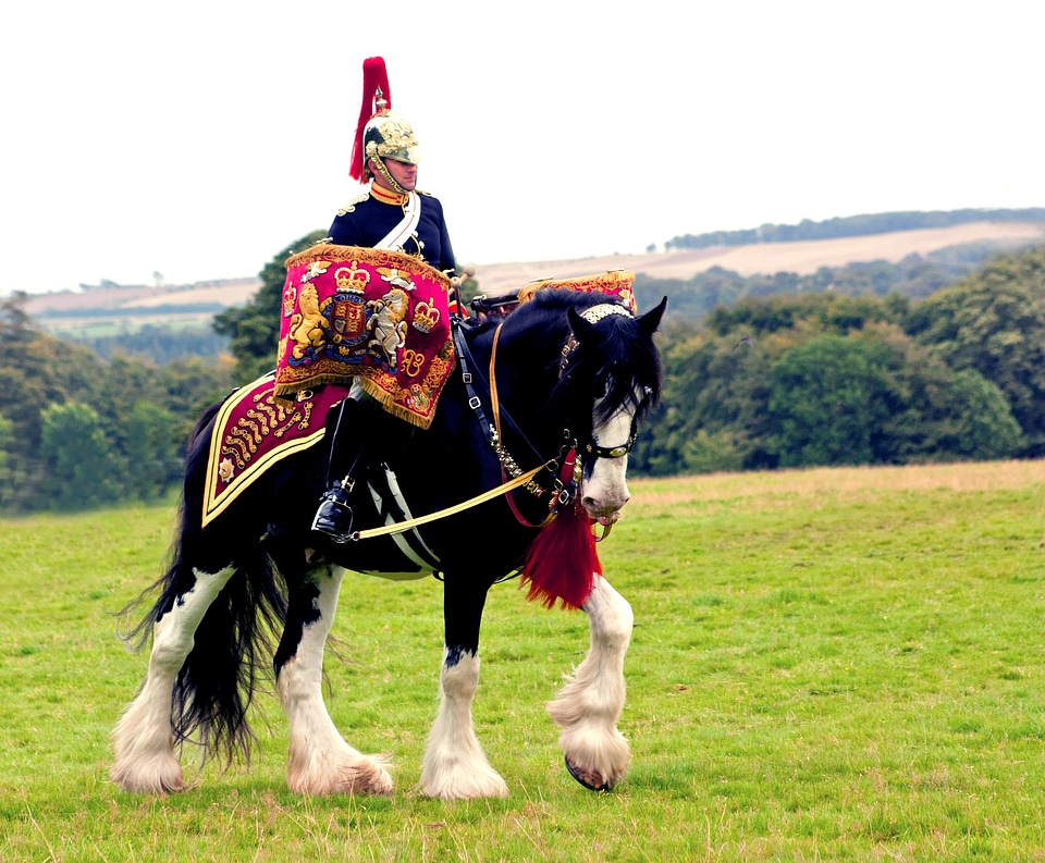 Queen horse brigade