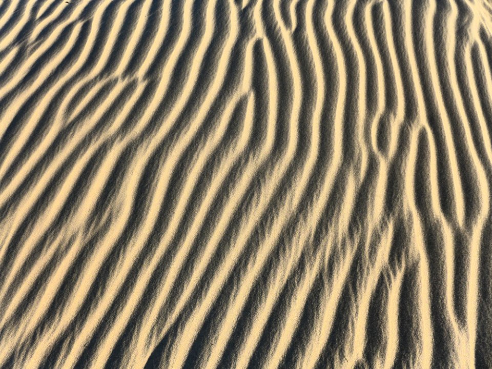 Sand Dunes photo