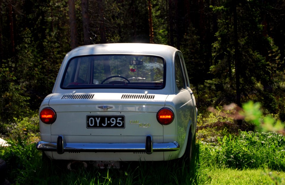 Gray Car Parked In The Forest