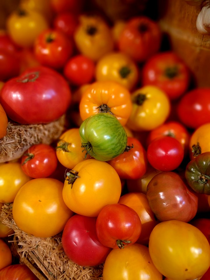 Riped And Unriped Tomatoes