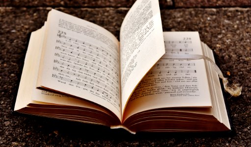 Music Notes Book