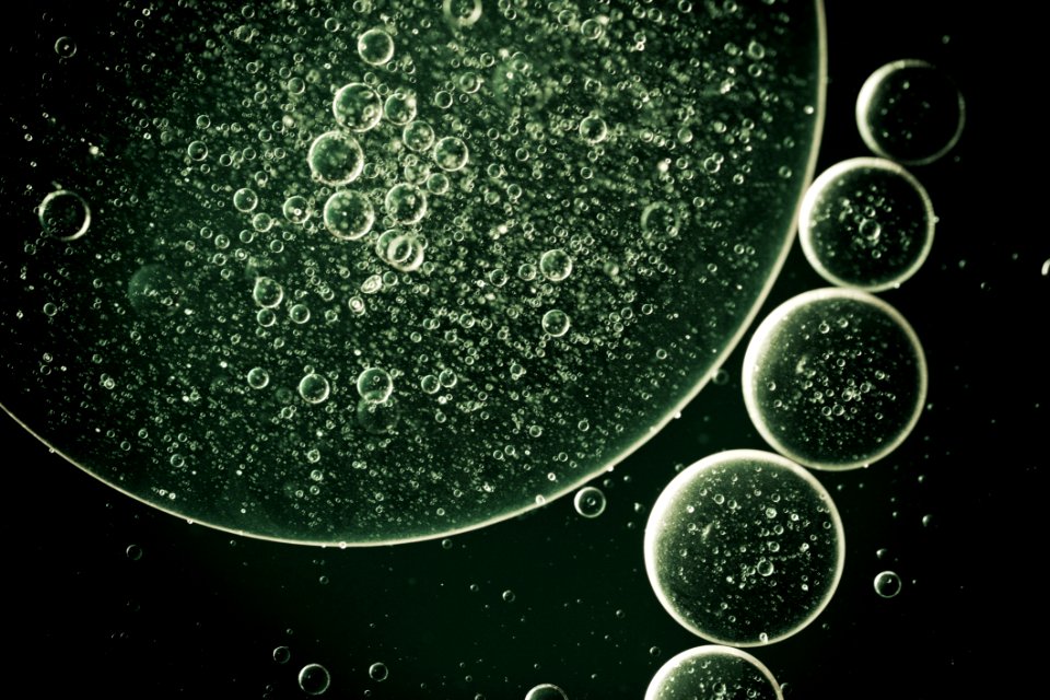 Water Bubbles Illustration