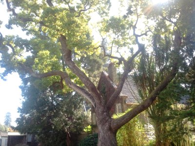2011-10-3120121100
