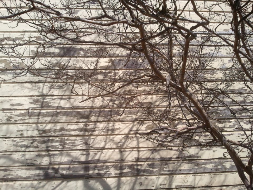 2012-04-0820104437