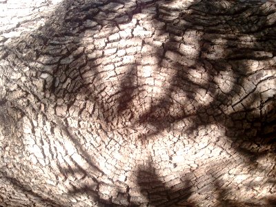 2011-10-3120121338