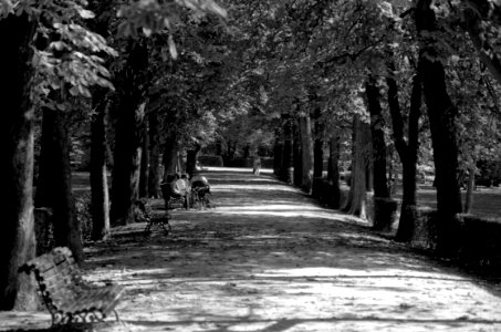 Parque Del Buen Retiro - Madrid photo