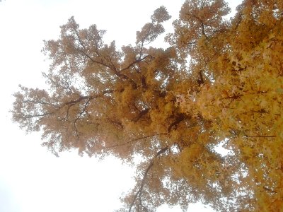 2011-11-2320154056