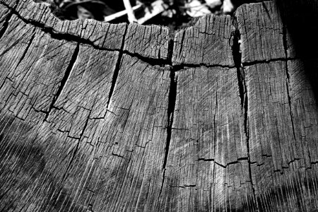 201136582 Cracks Across Time