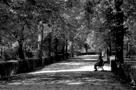 Parque Del Buen Retiro - Madrid