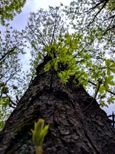 IMG20170506172158