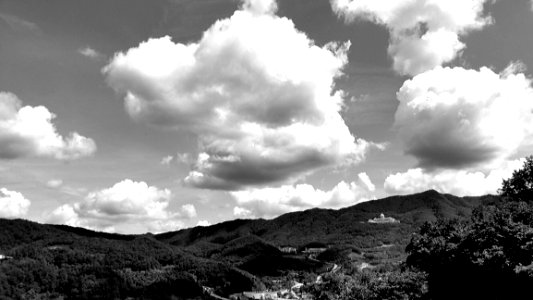 Cloud Sky Plant Atmosphere