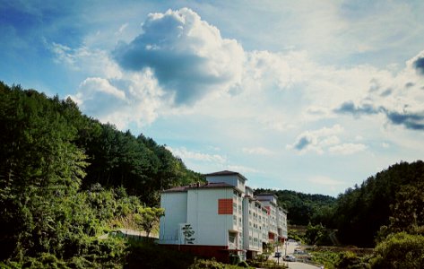 Cloud Sky Plant Building