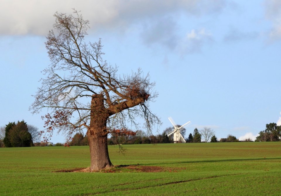 View To Bocking Windmill