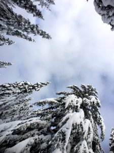 Great Snow cypressmtn photo