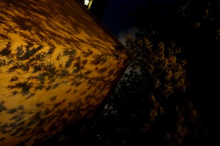 Water Sky Wood Road Surface