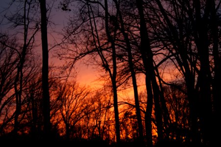 Decatur Sunset