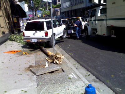 Tree Accident On Dunsmuir And Seymour - Roland In Vancouver 2464