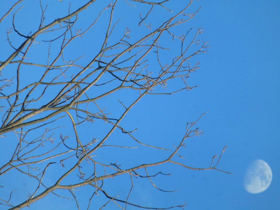 Sky Nature Moon Azure