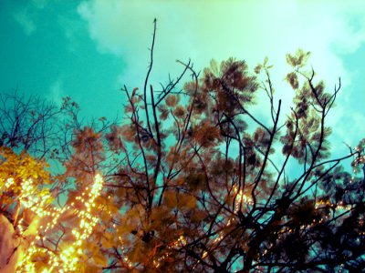 1st Sunrise