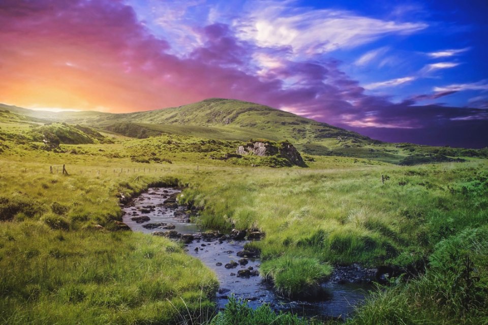 Grasslands