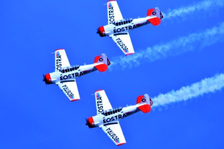 Eostra Stunt Planes photo
