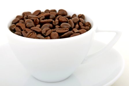 Coffee Bean On White Ceramic Mug photo