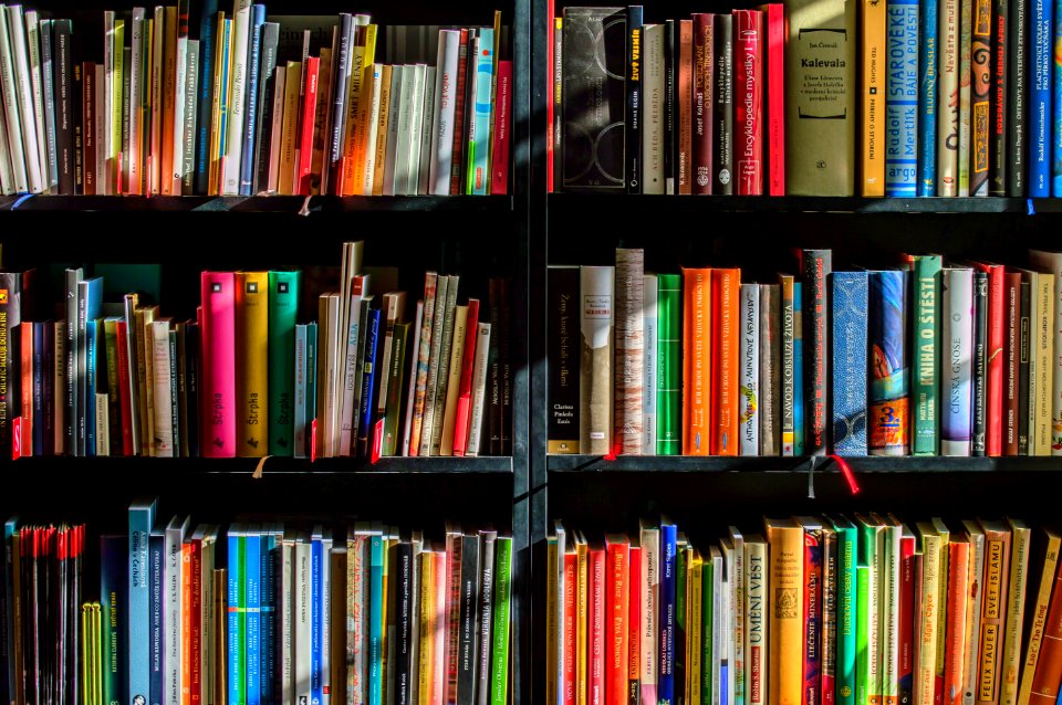 Books In Black Wooden Book Shelf photo