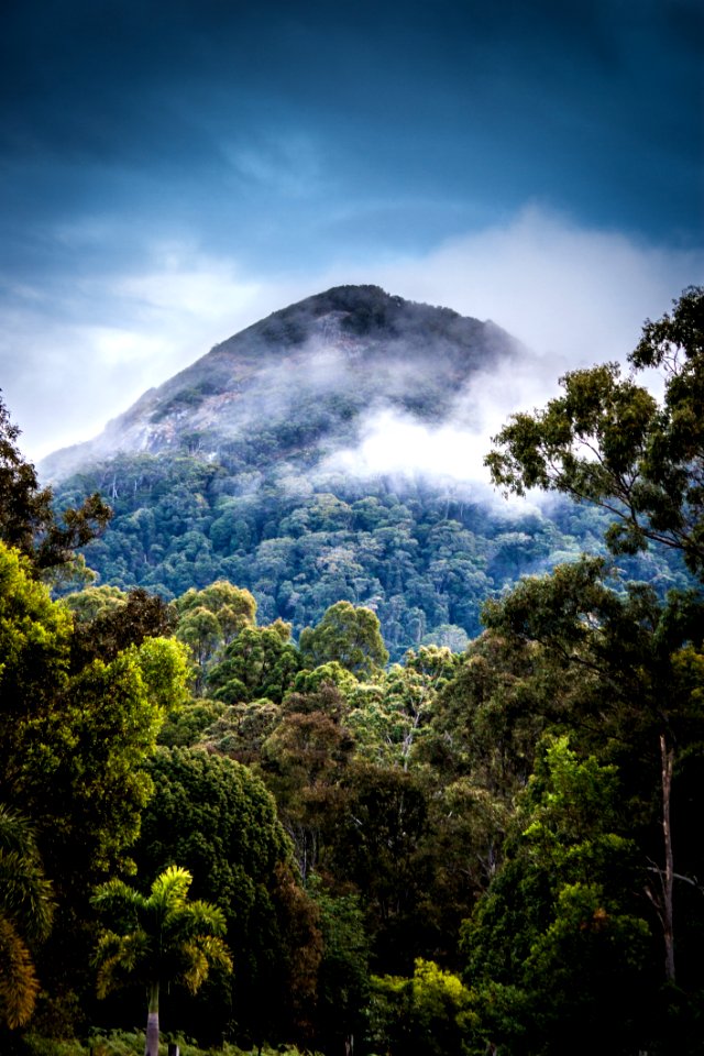 Tropical Mountain Range