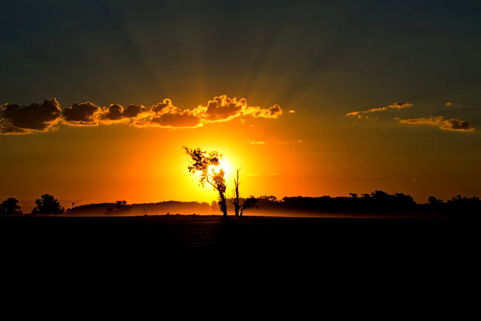 Sunset Skies photo