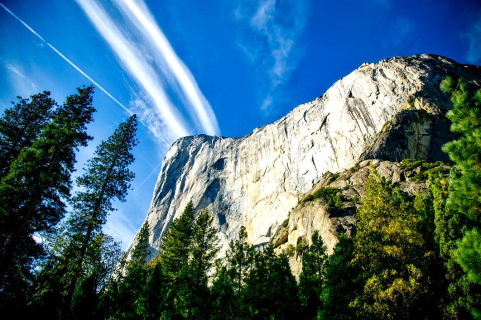 Mountain Peak Surrounded By Forest