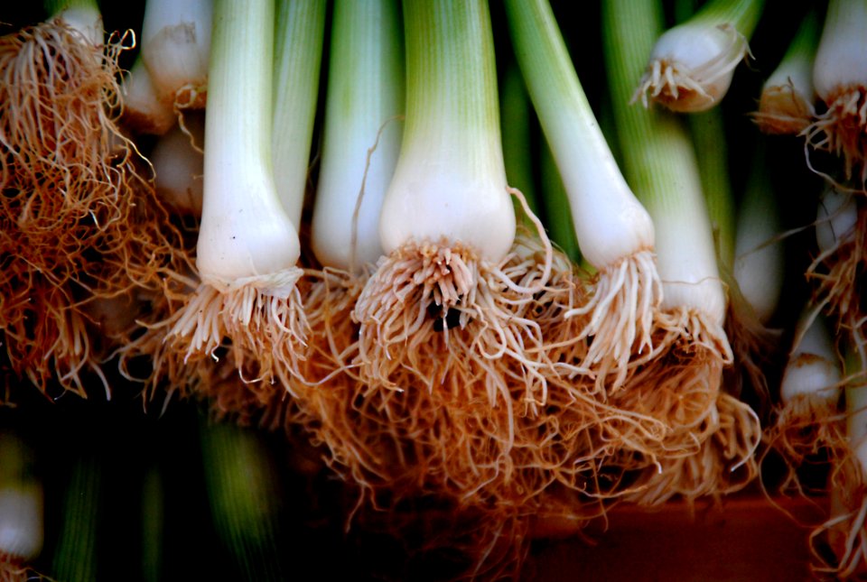 Close-up Of Vegetables