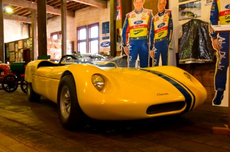 Cheetah 1964