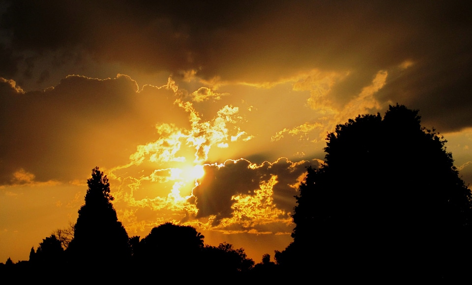 Light gold luminous
