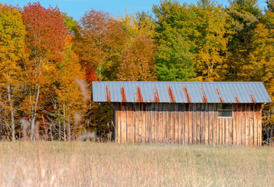 Rural Maine In Autumn