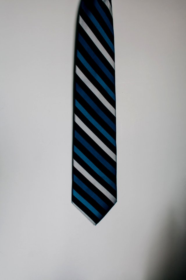 Blue Black And White Neck Tie