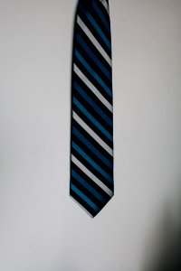 Blue Black And White Neck Tie
