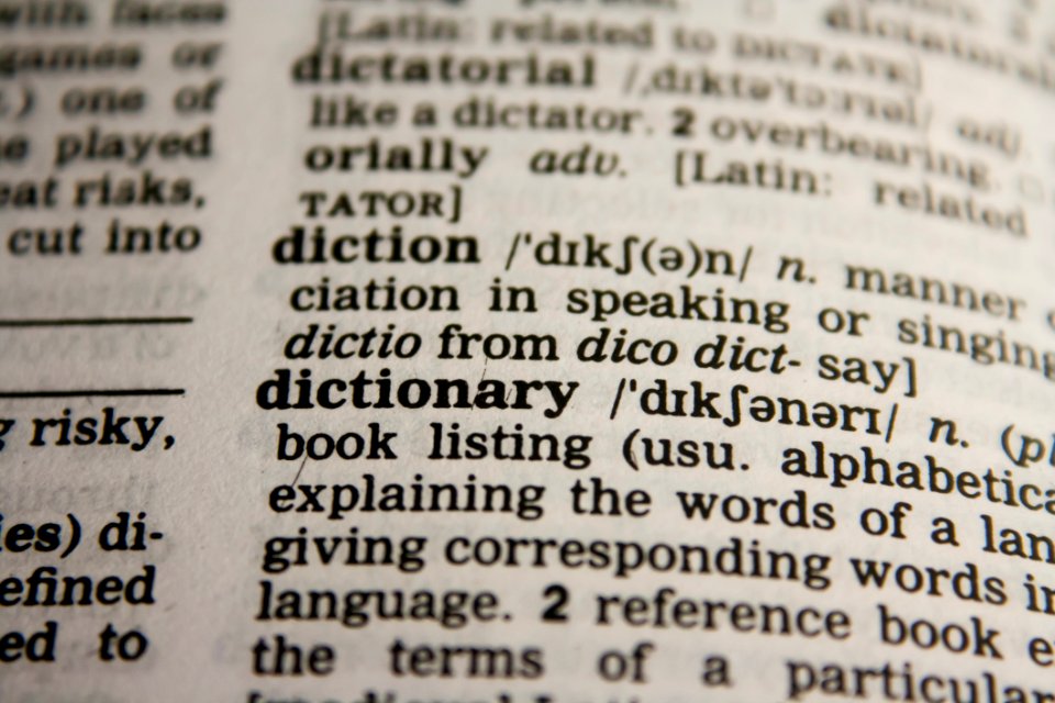Dictionary Definition