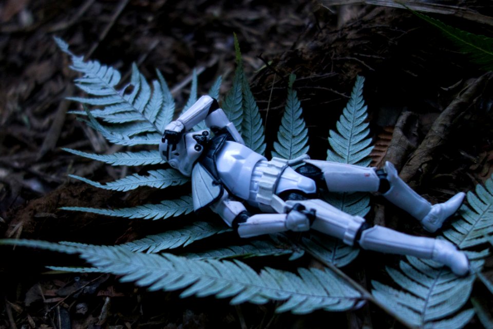 Day 31 Even Troopers Need A Rest Sometimes