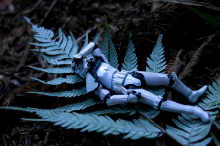 Day 31 Even Troopers Need A Rest Sometimes