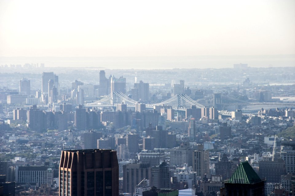 NYC20060949