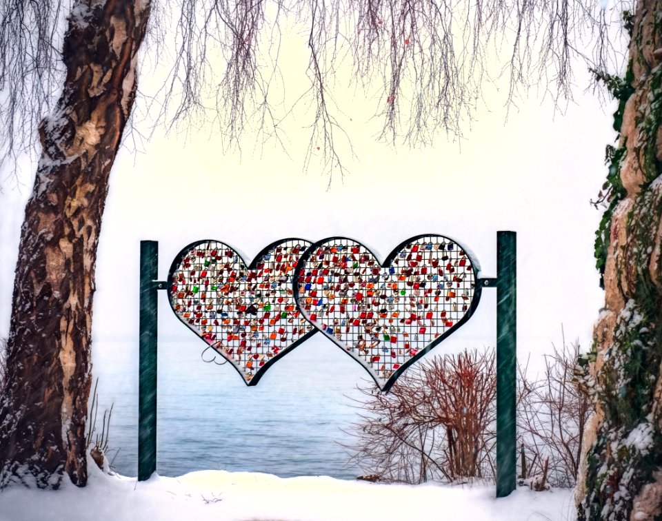 Heart Shape On Tree