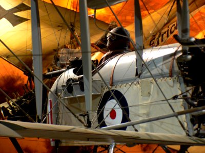 Airco De Havilland DH 2 (6)