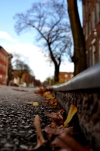 Druid Hill