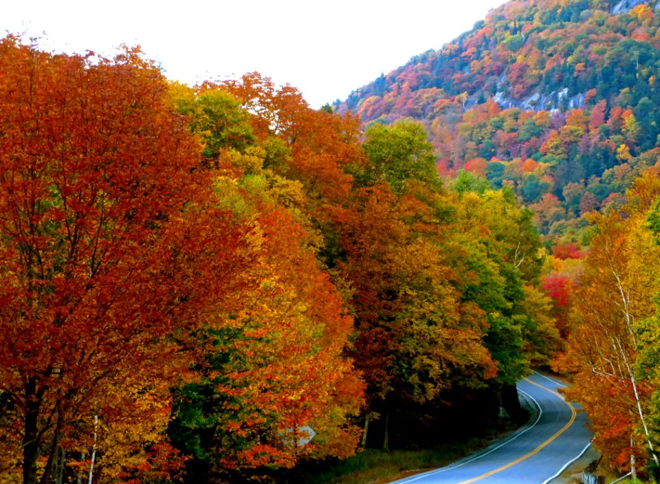 A Road Through Autumn