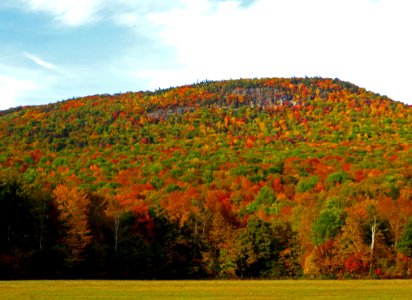 Autumn Color Assault