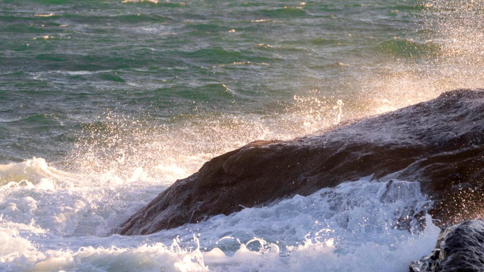Golden Wave Crash