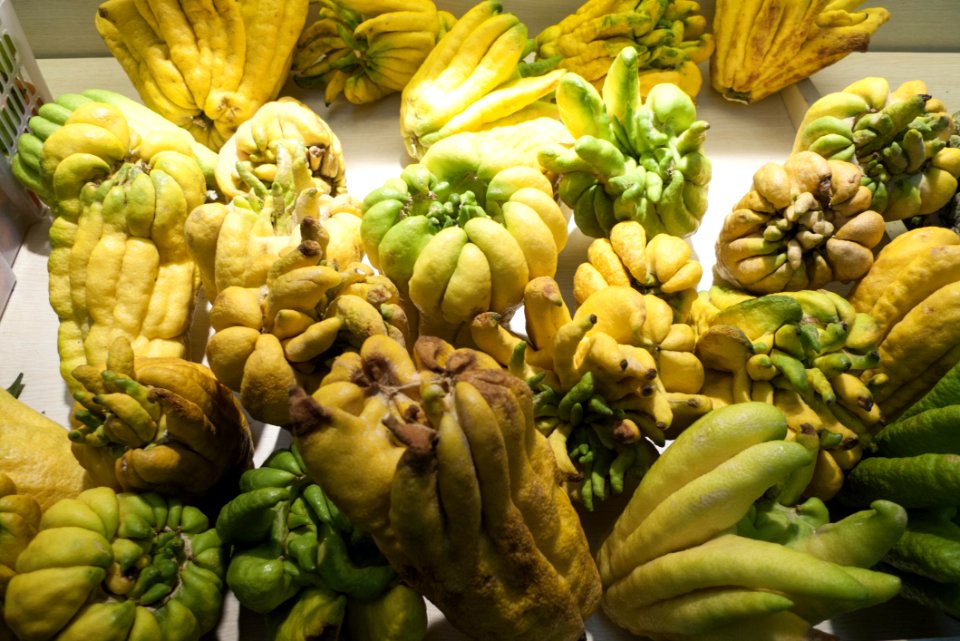 Food Banana Saba Banana Matoke